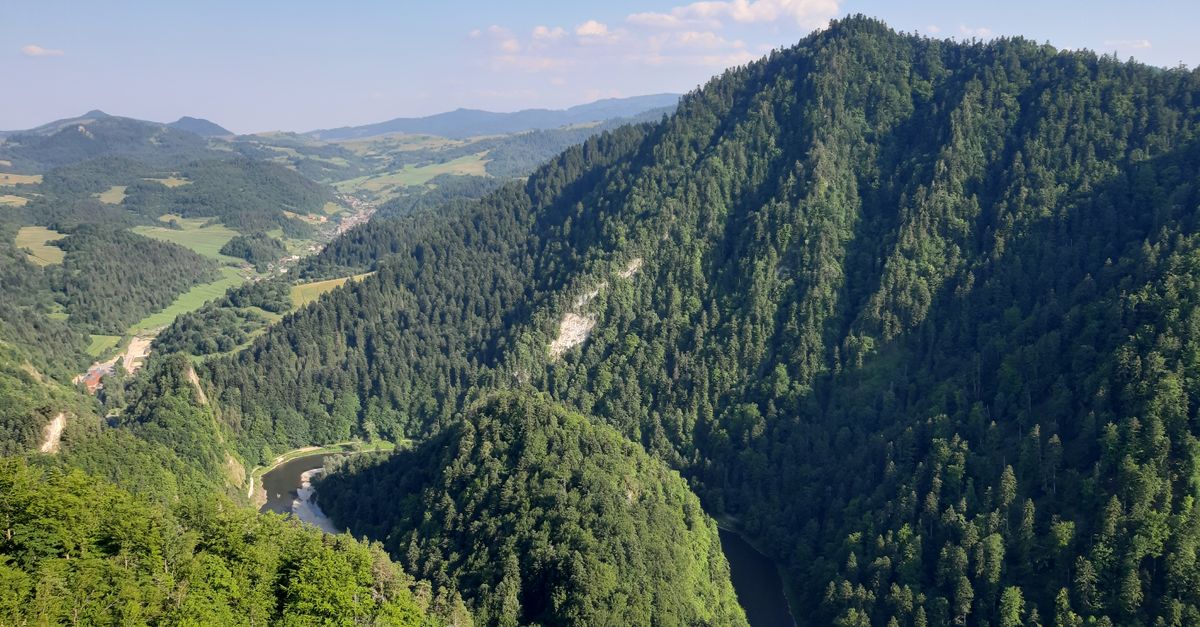 Scenic aerial view of the lush Dunajec River Gorge in Pieniny Mountains, Poland.